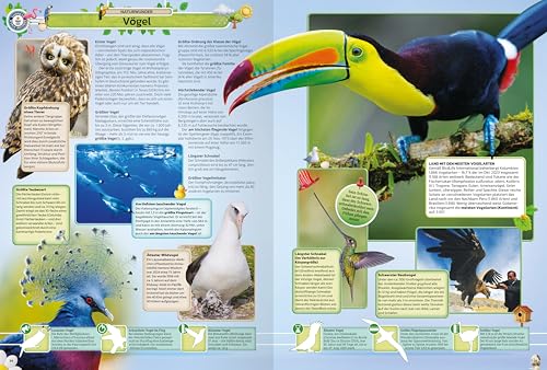 Ravensburger - GUINNESS WORLD RECORDS 2025: The popular record book for children and adults