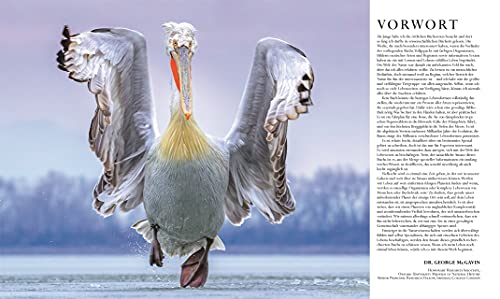 Nature in over 5000 photos: The visual encyclopedia of plants, animals and microorganisms