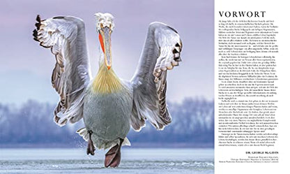 Nature in over 5000 photos: The visual encyclopedia of plants, animals and microorganisms