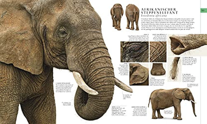 Nature in over 5000 photos: The visual encyclopedia of plants, animals and microorganisms