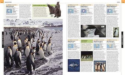 Oceans: The large picture encyclopedia with more than 2000 photographs and illustrations