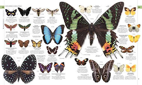 Nature in over 5000 photos: The visual encyclopedia of plants, animals and microorganisms