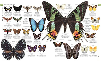 Nature in over 5000 photos: The visual encyclopedia of plants, animals and microorganisms