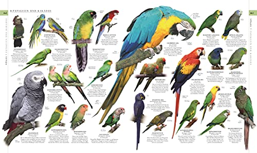 Nature in over 5000 photos: The visual encyclopedia of plants, animals and microorganisms