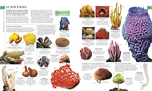 Nature in over 5000 photos: The visual encyclopedia of plants, animals and microorganisms