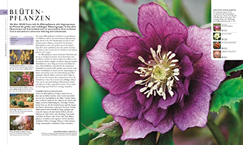 Nature in over 5000 photos: The visual encyclopedia of plants, animals and microorganisms