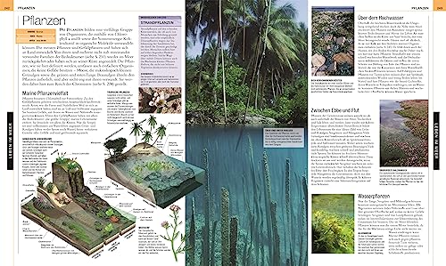 Oceans: The large picture encyclopedia with more than 2000 photographs and illustrations