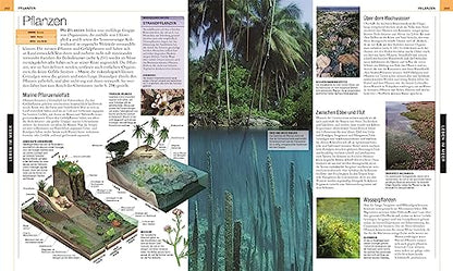 Oceans: The large picture encyclopedia with more than 2000 photographs and illustrations