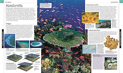 Oceans: The large picture encyclopedia with more than 2000 photographs and illustrations