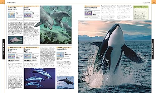 Oceans: The large picture encyclopedia with more than 2000 photographs and illustrations