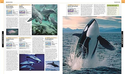 Oceans: The large picture encyclopedia with more than 2000 photographs and illustrations